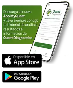 App my Quest